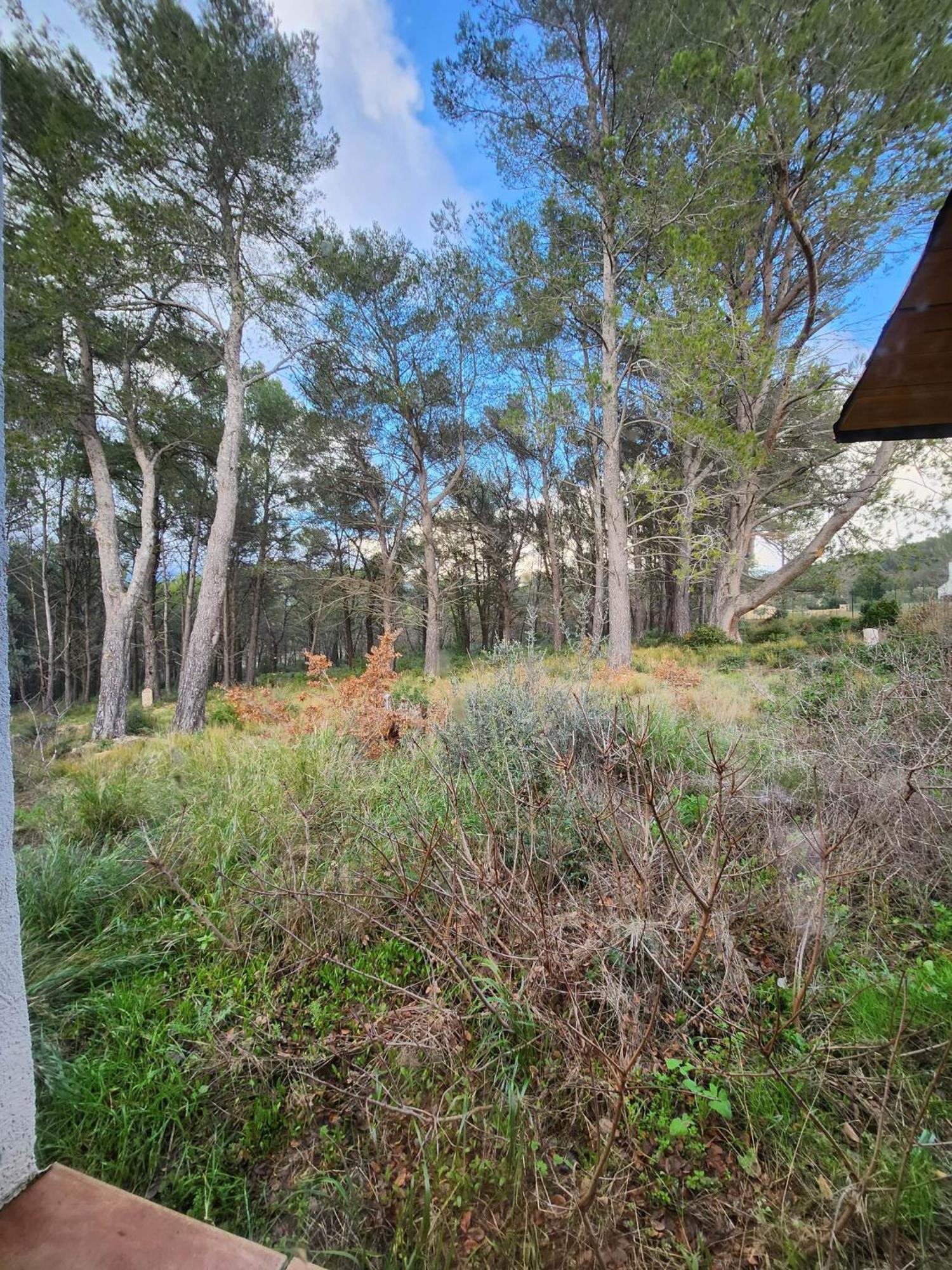 A L'Orée des Pins: Gîte with Balneo Bath and Home Cinema Cuges-les-Pins Exterior photo